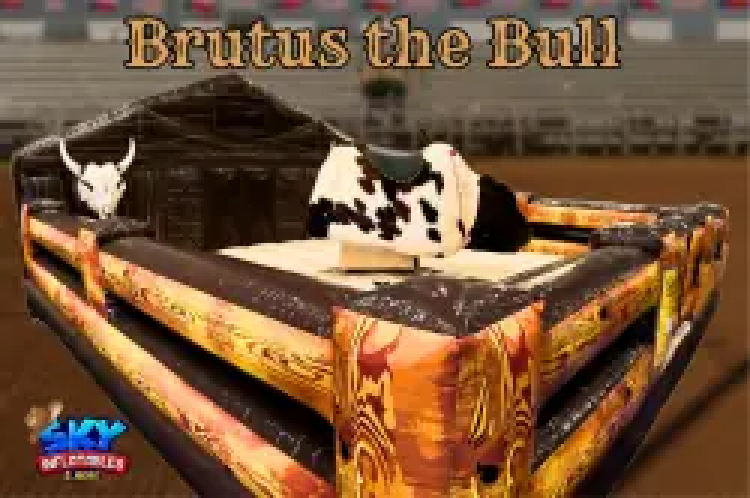 MECHANICAL BULL MECHANICAL BULL